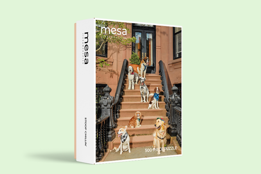 a jigsaw puzzle box with dogs on it