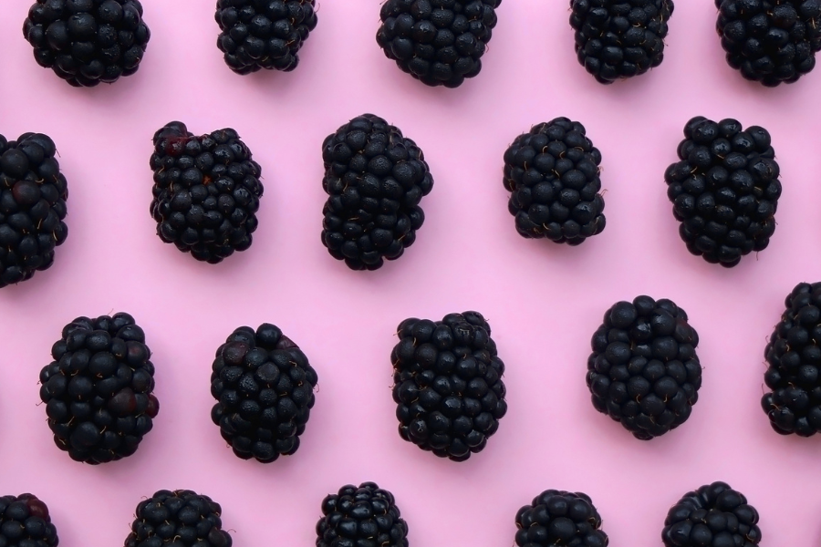 blackberries on a pink background
