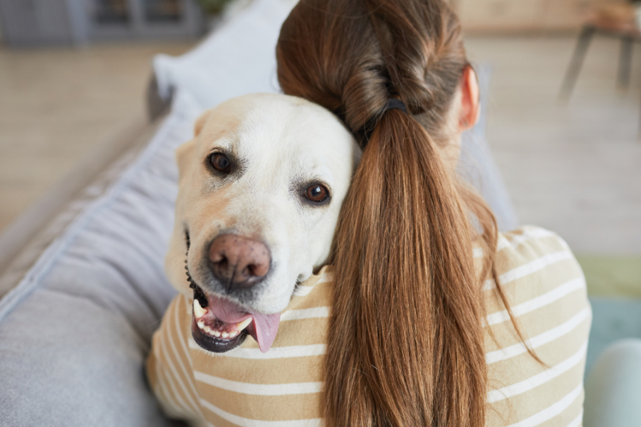 a dog hugging a woman