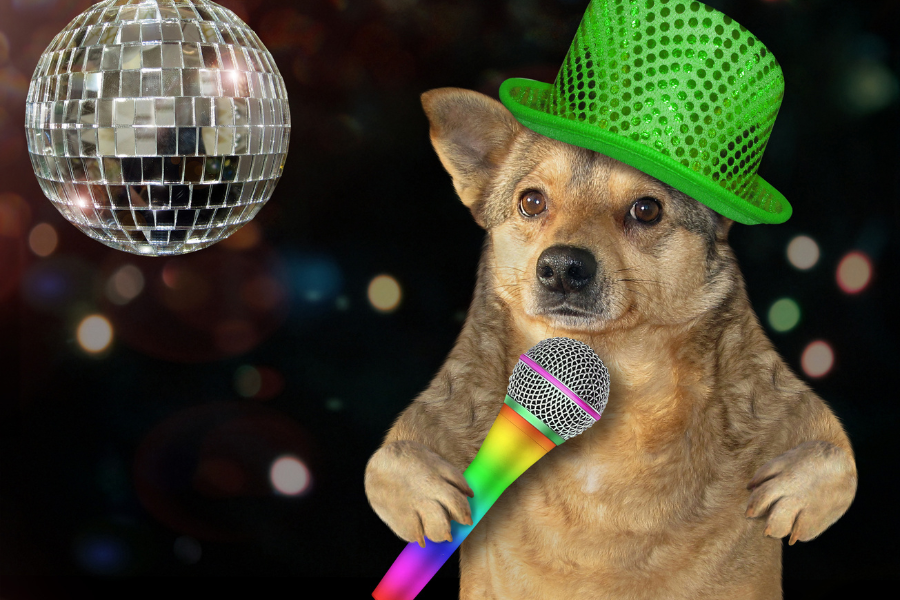 a dog at a disco party