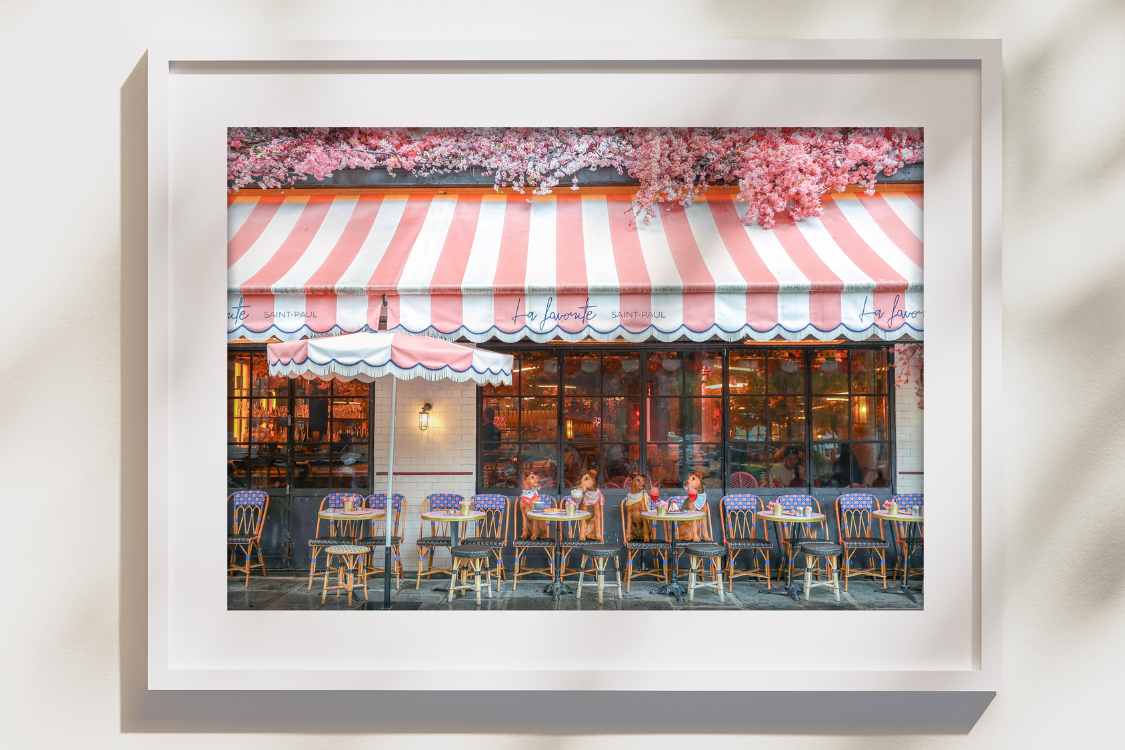 dogs sitting at la favorite brasserie in paris