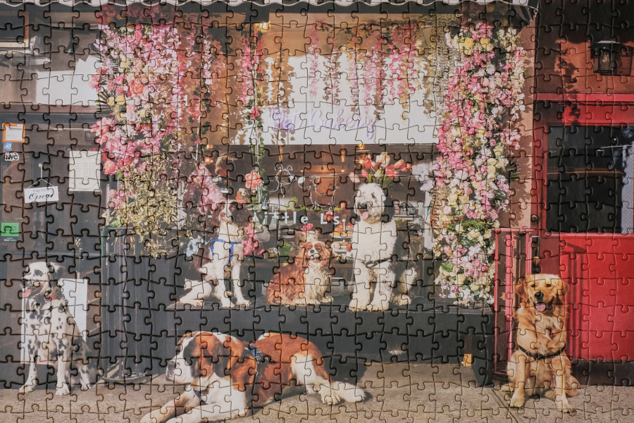 dogs in front of little ls pet bakery in brooklyn