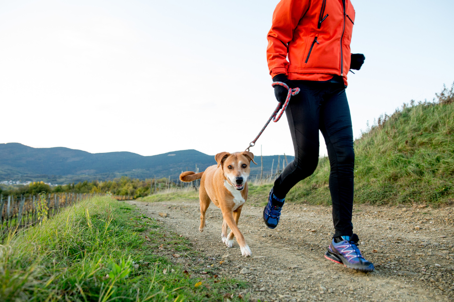 a dog owner running with a dog