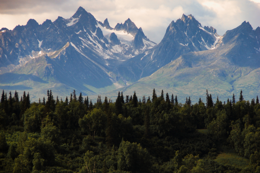 alaskan wilderness