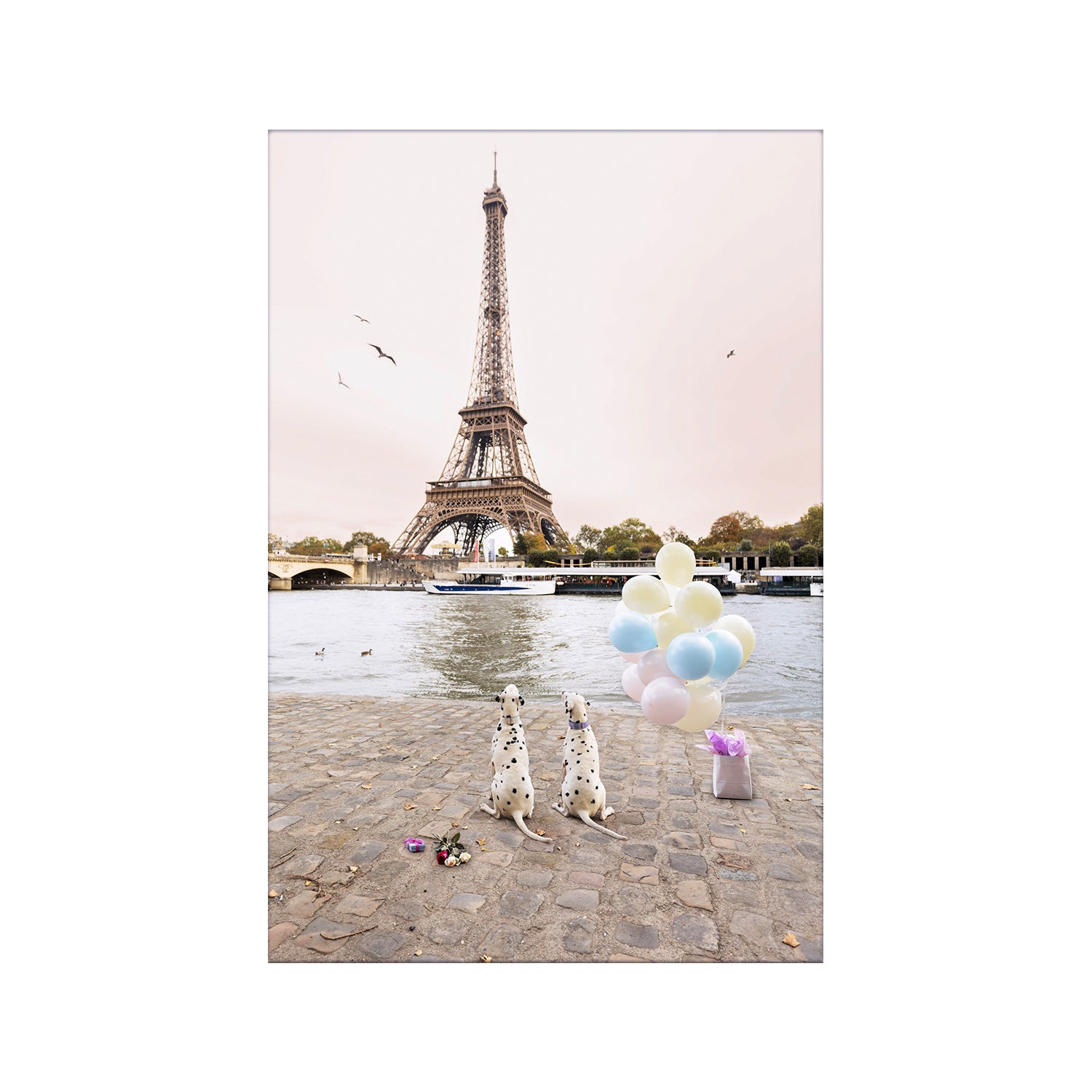 #Frame Color_No Frame