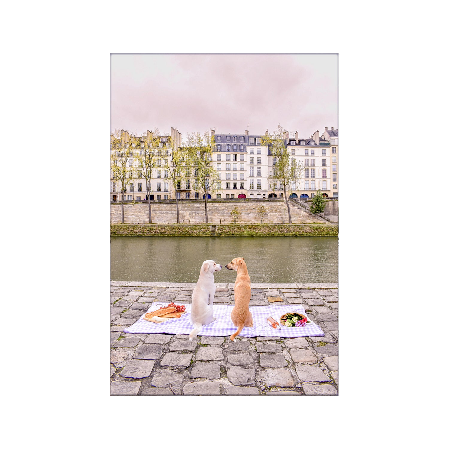 #Frame Color_No Frame
