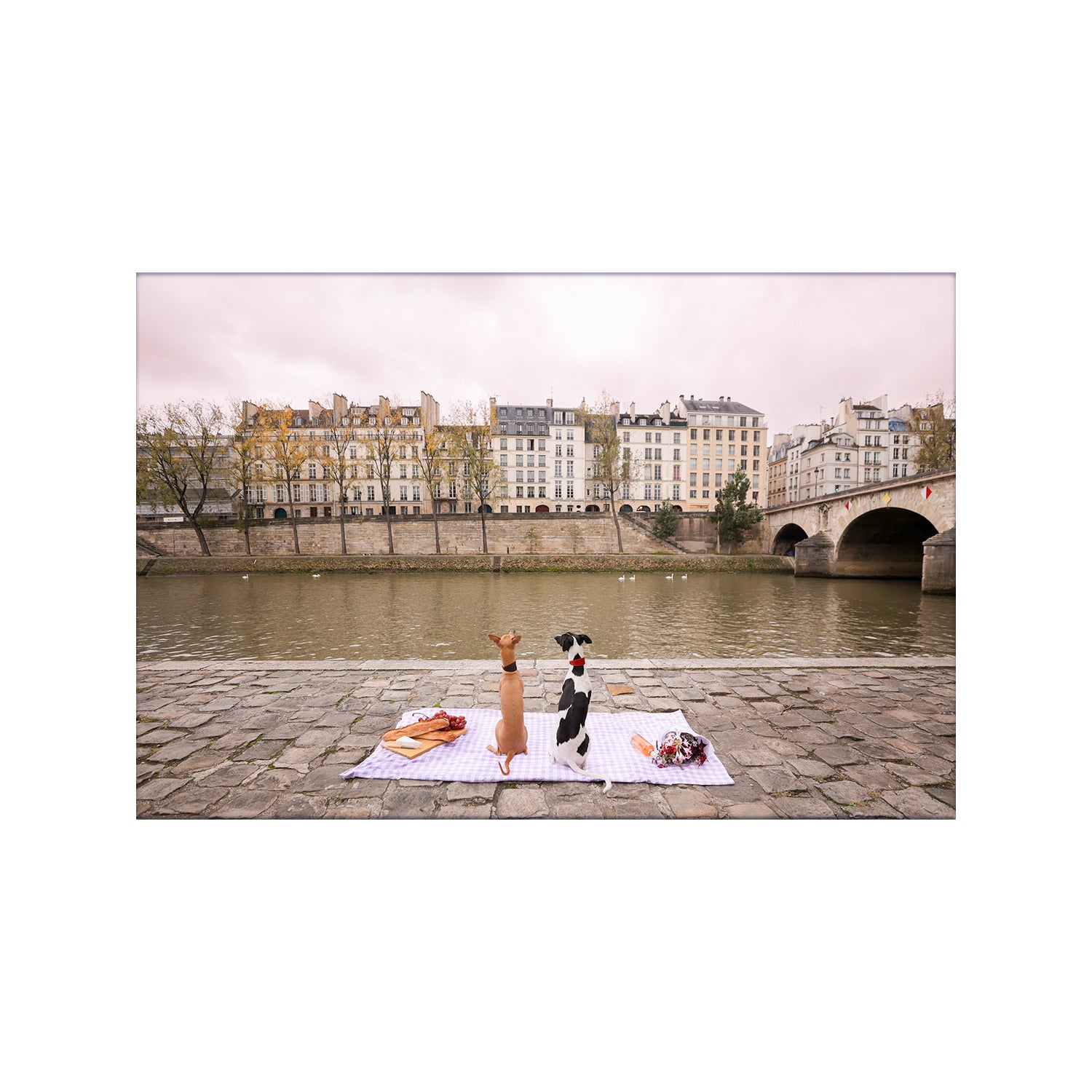 #Frame Color_Marin