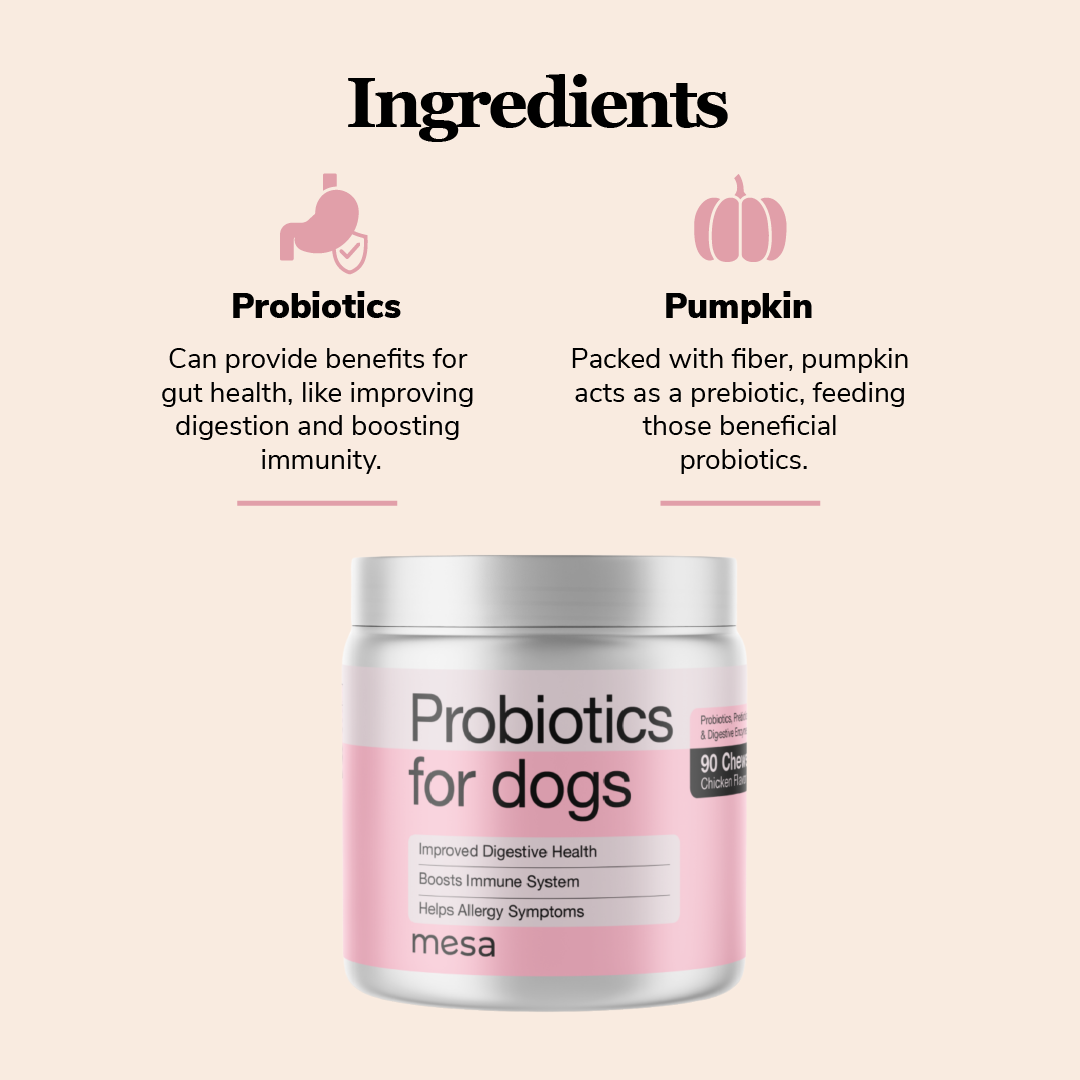 dog probiotic chews active ingredients