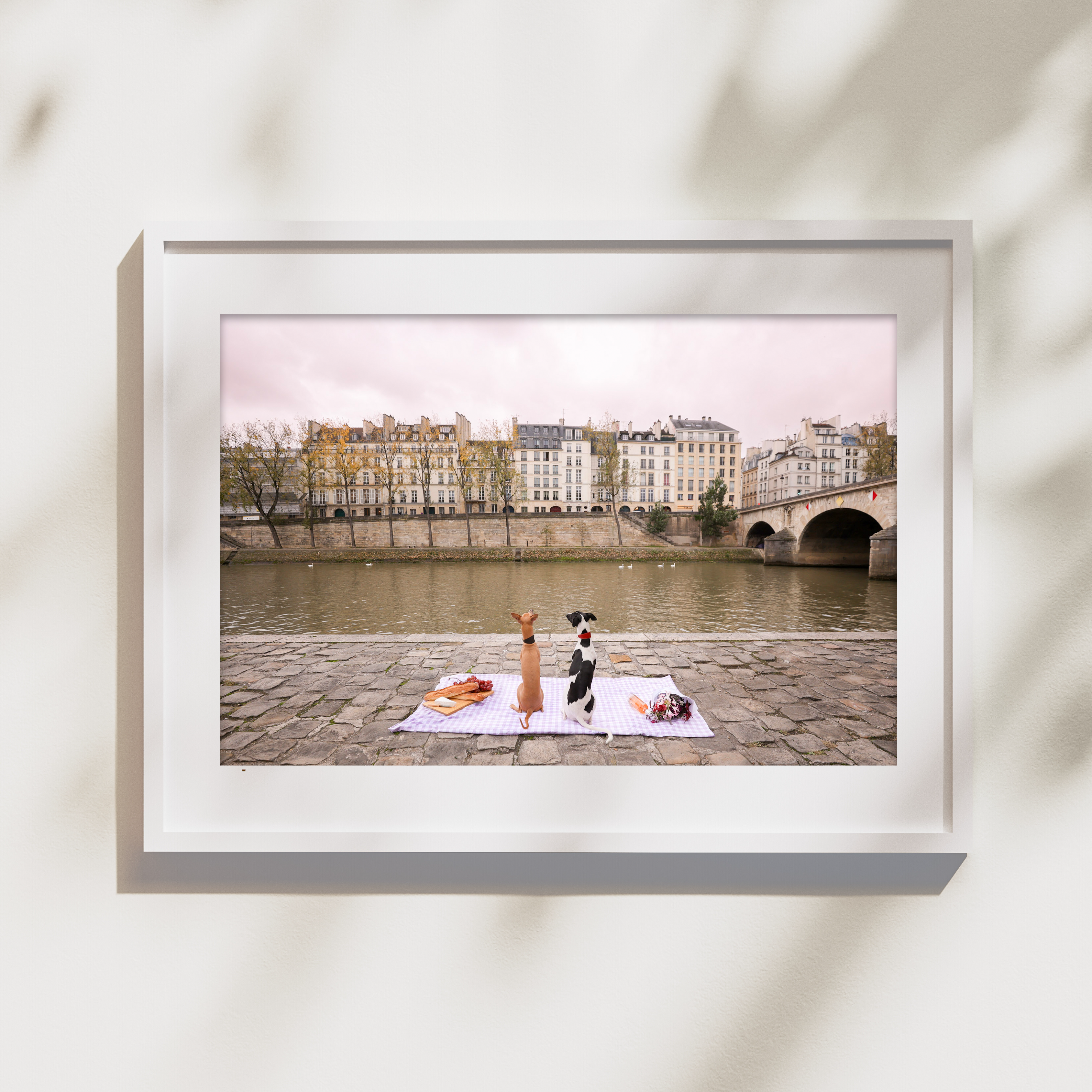 seine photo main white