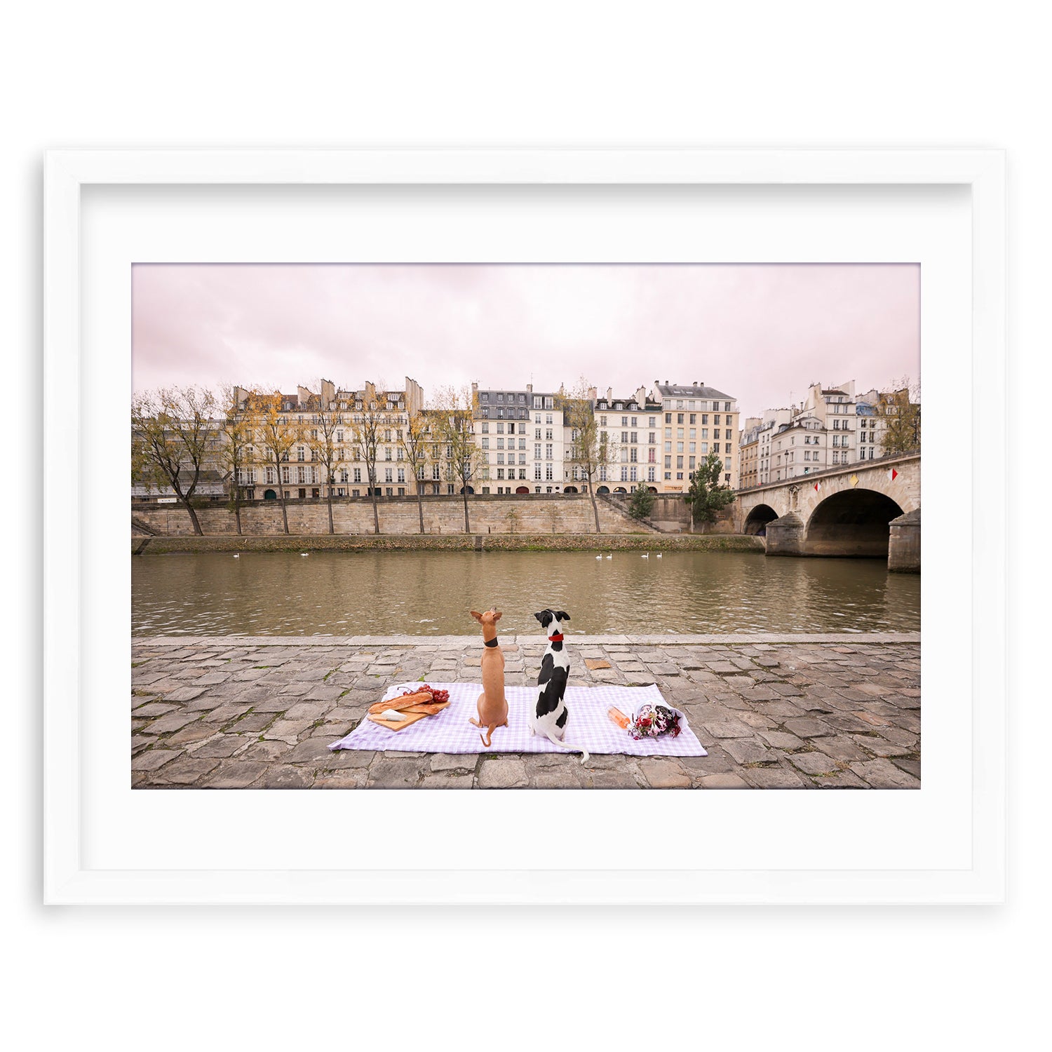 #Frame Color_Irvine White
