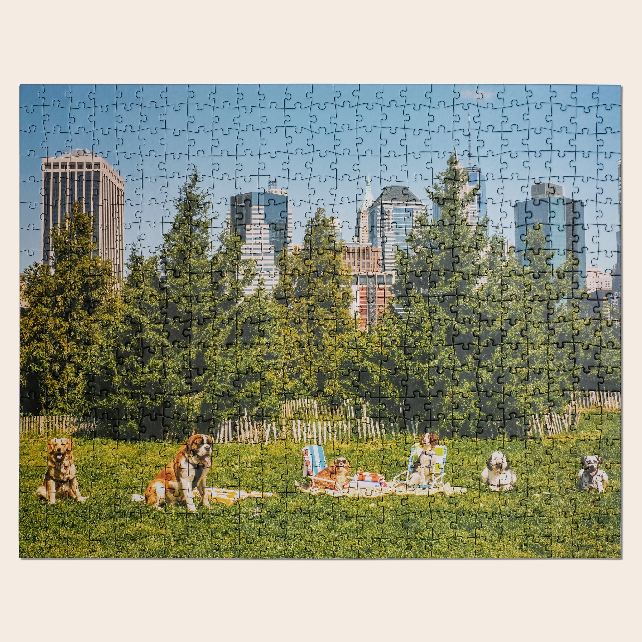 Park Picnic