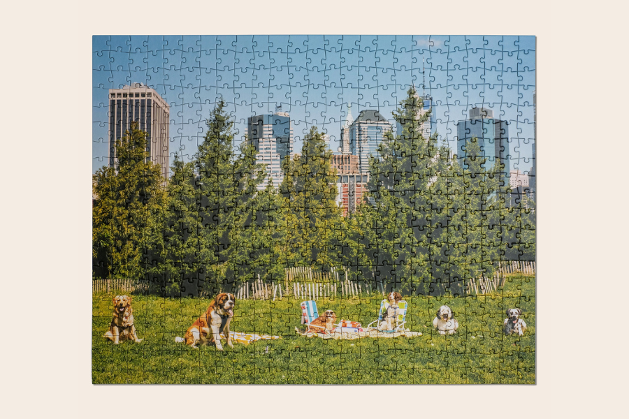 a puzzle of dogs in a park in brooklyn