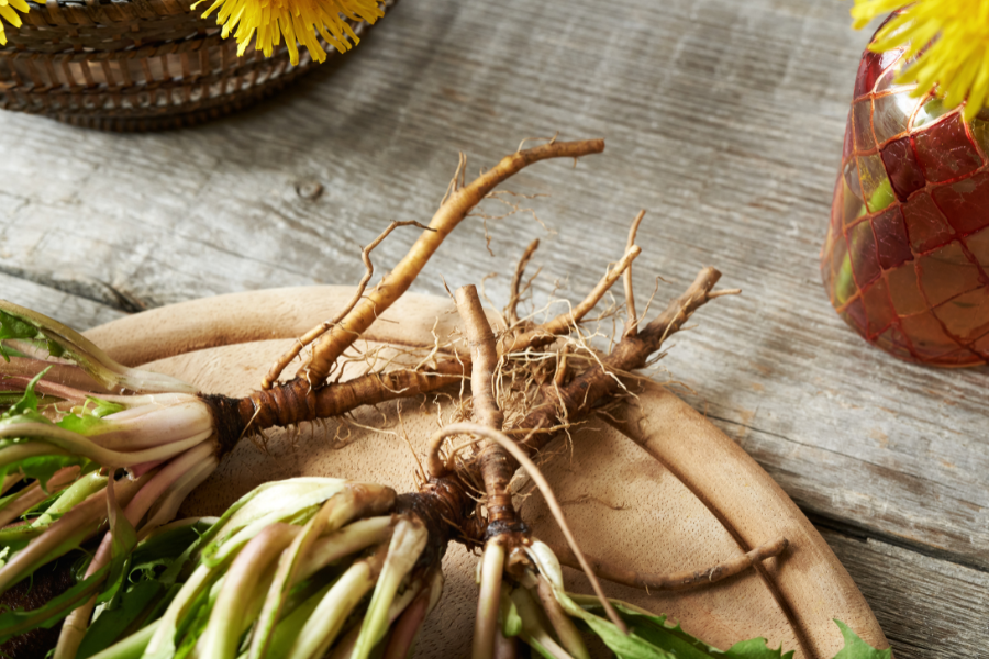 ashwagandha root for dogs