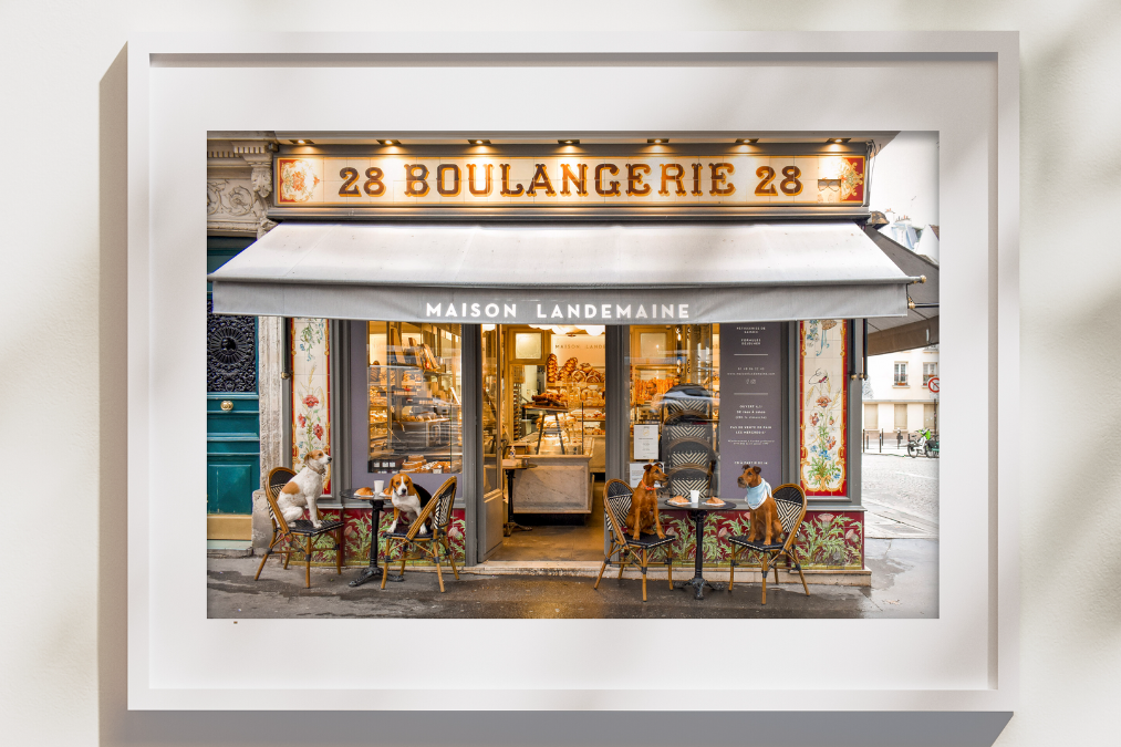 dogs sitting in front of a boulangerie