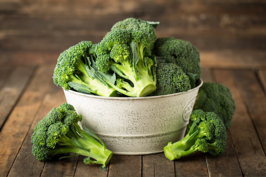 Is Broccoli Good for Dogs? A Bow-WOW Superfood or Spoiler of Snacks?
