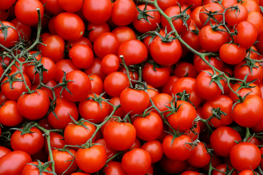 bunches of cherry tomatoes