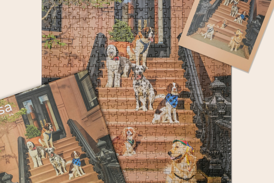 a puzzle of dogs on a stoop