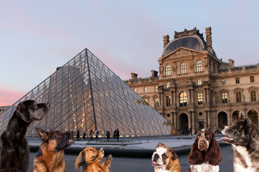 dogs in front of the louvre