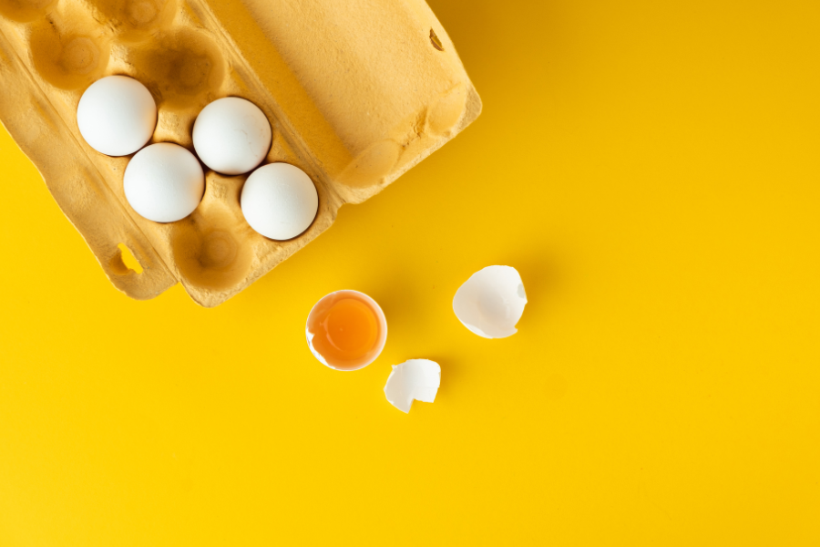 egg shells and an egg carton