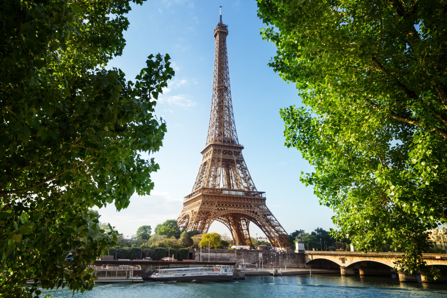 eiffel tower with trees