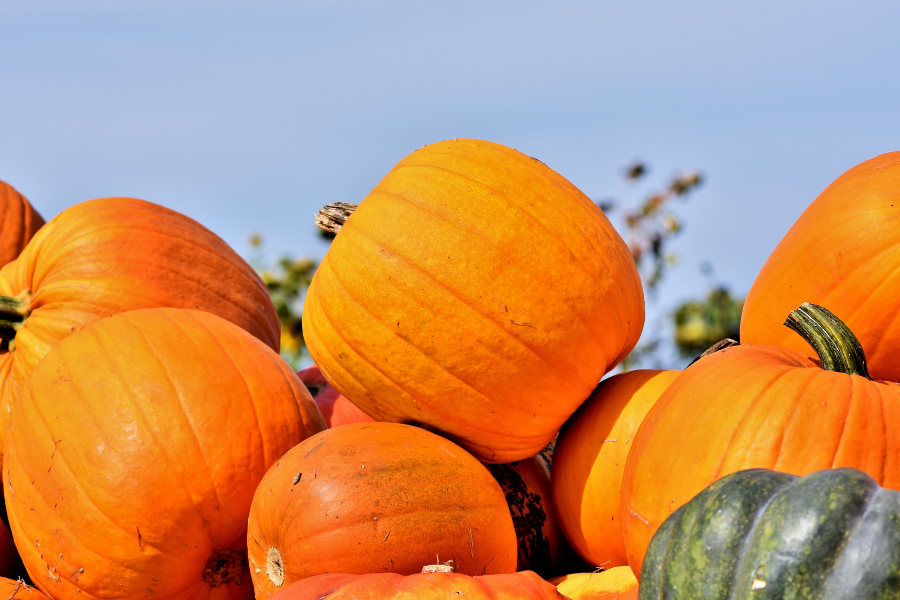 pumpkins stacked on one another