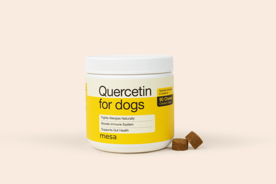 quercetin chews for dogs next to a jar