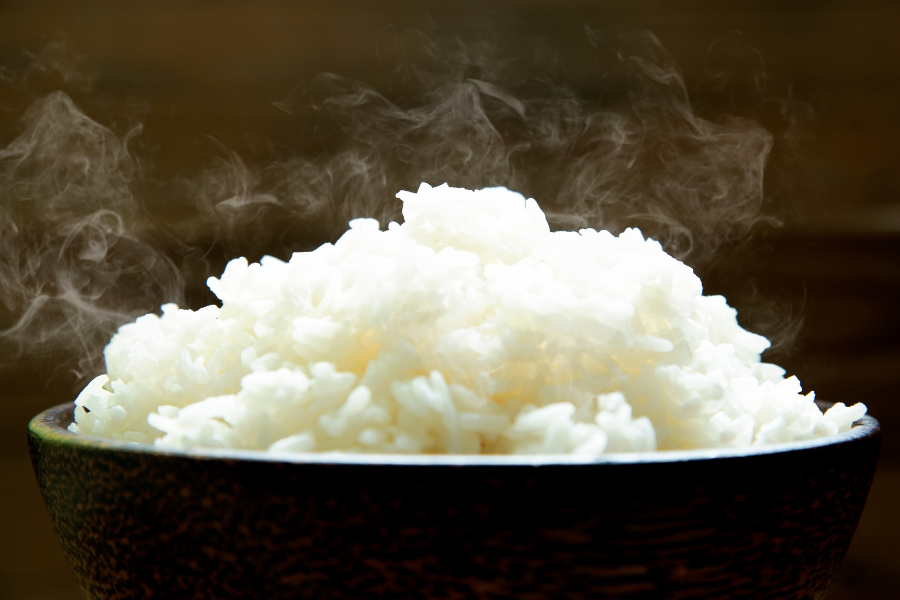 a bowl of cooked white rice for dogs