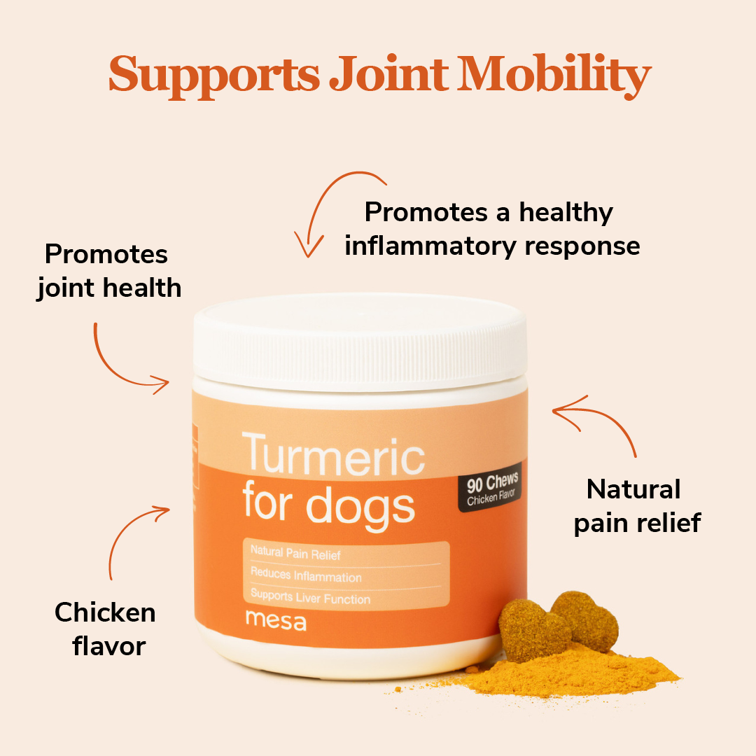 turmeric dog chews with text describing the benefits