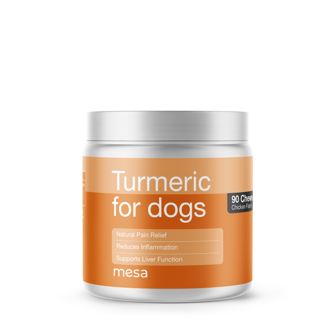 a jar of turmeric dog chews with curcumin in them