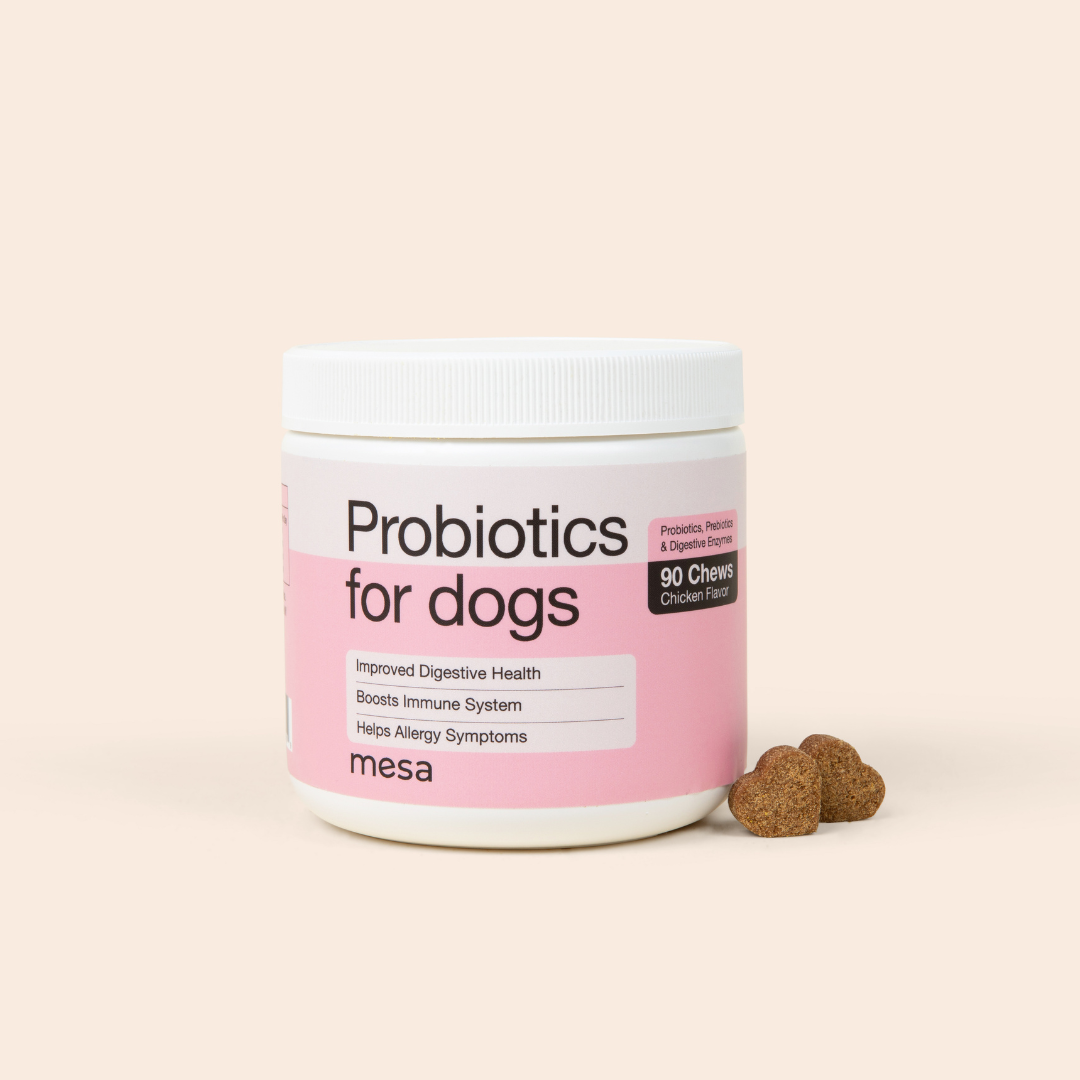 dog probiotic chews in the shape of a heart