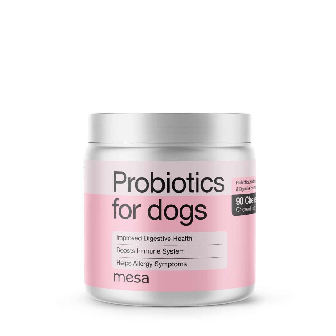 a jar of dog probiotic chews