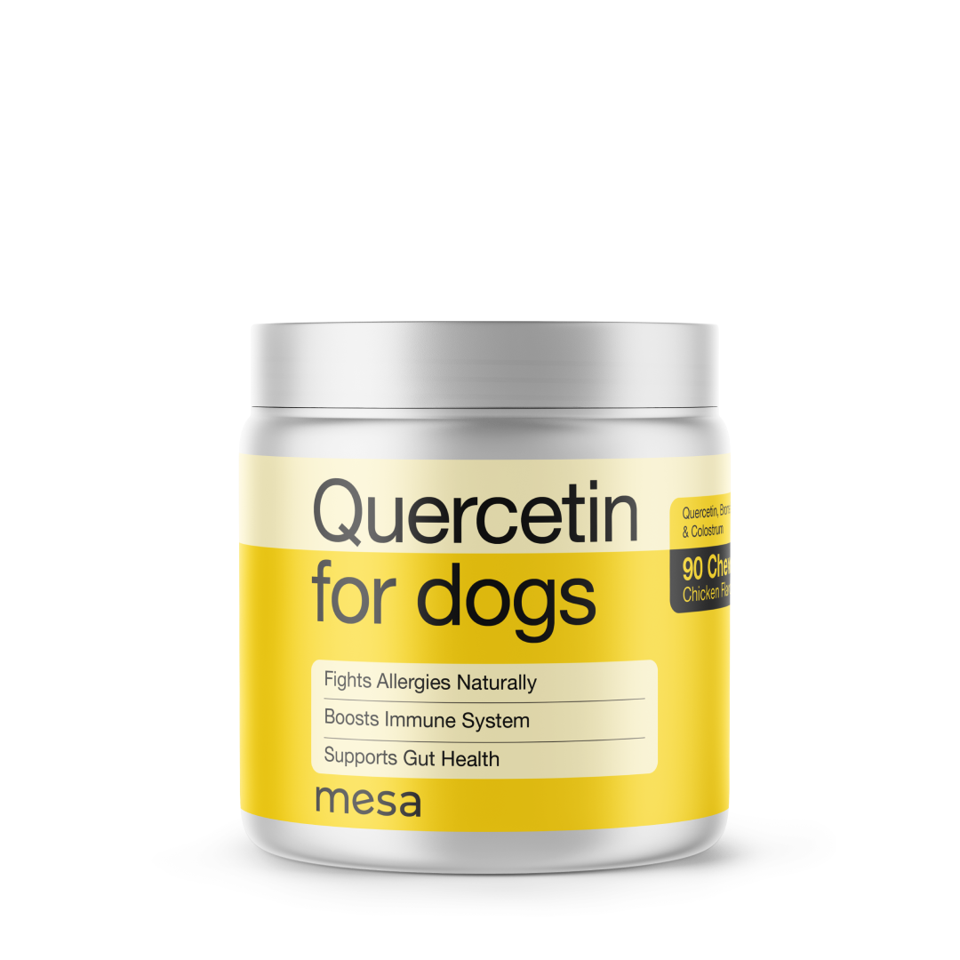 a jar of quercetin for dogs