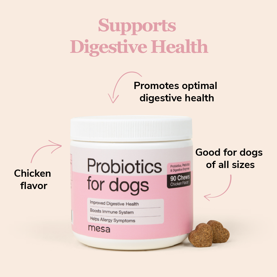 details and benefits of dog probiotic chews