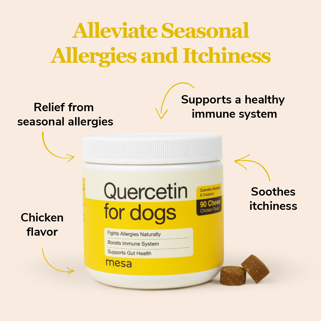 quercetin dog chews with text describing their benefits