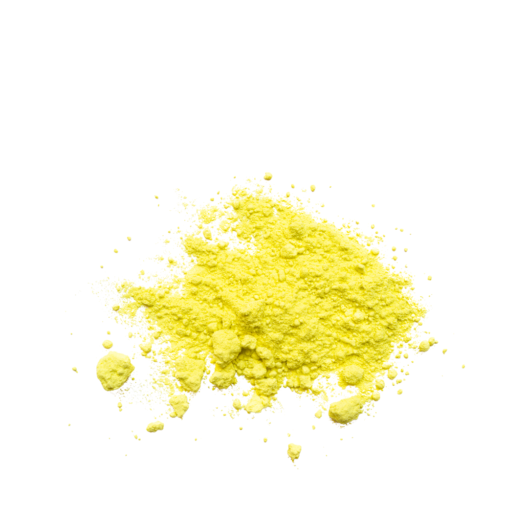 yellow quercetin powder for dogs