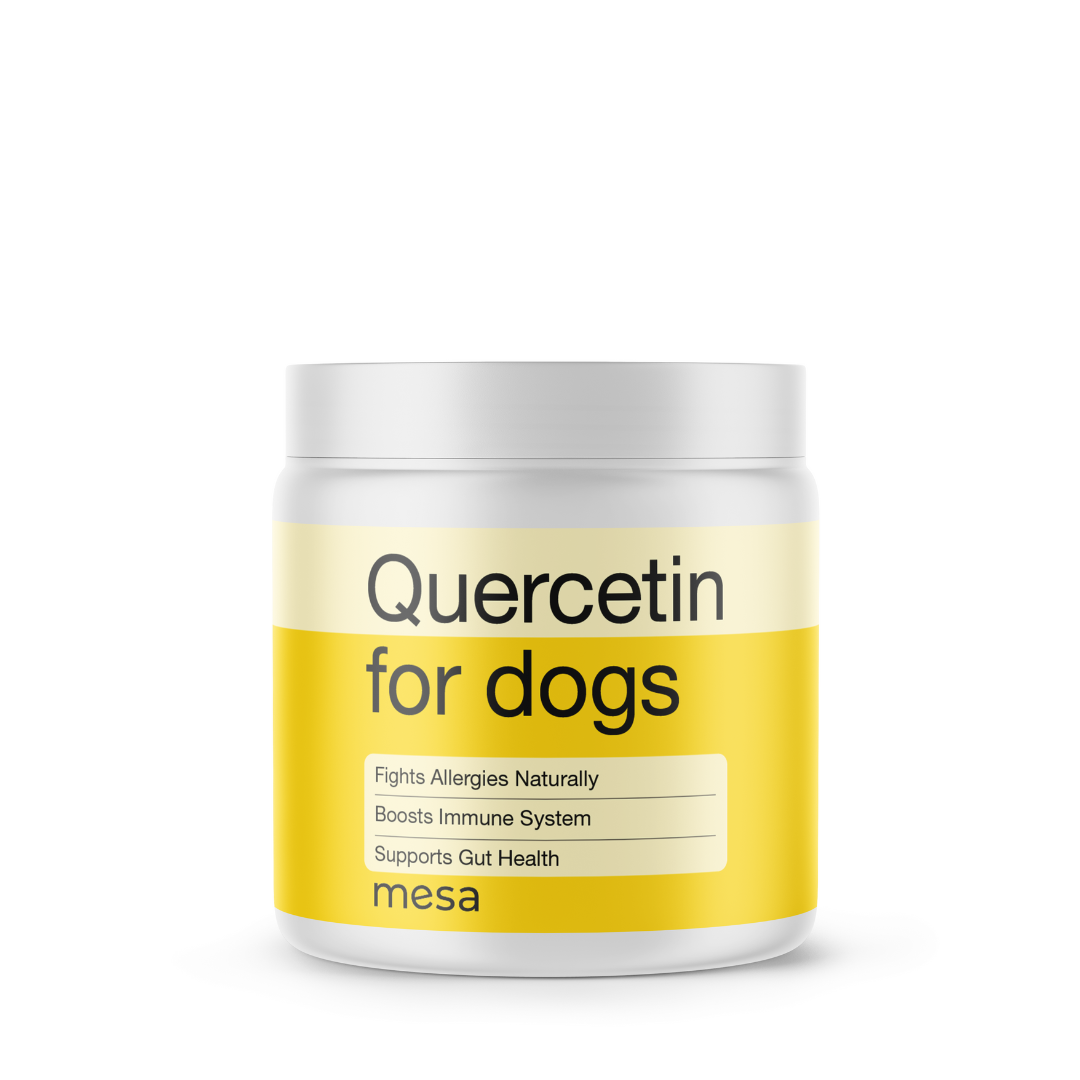 a yellow jar of quercetin chews for dogs