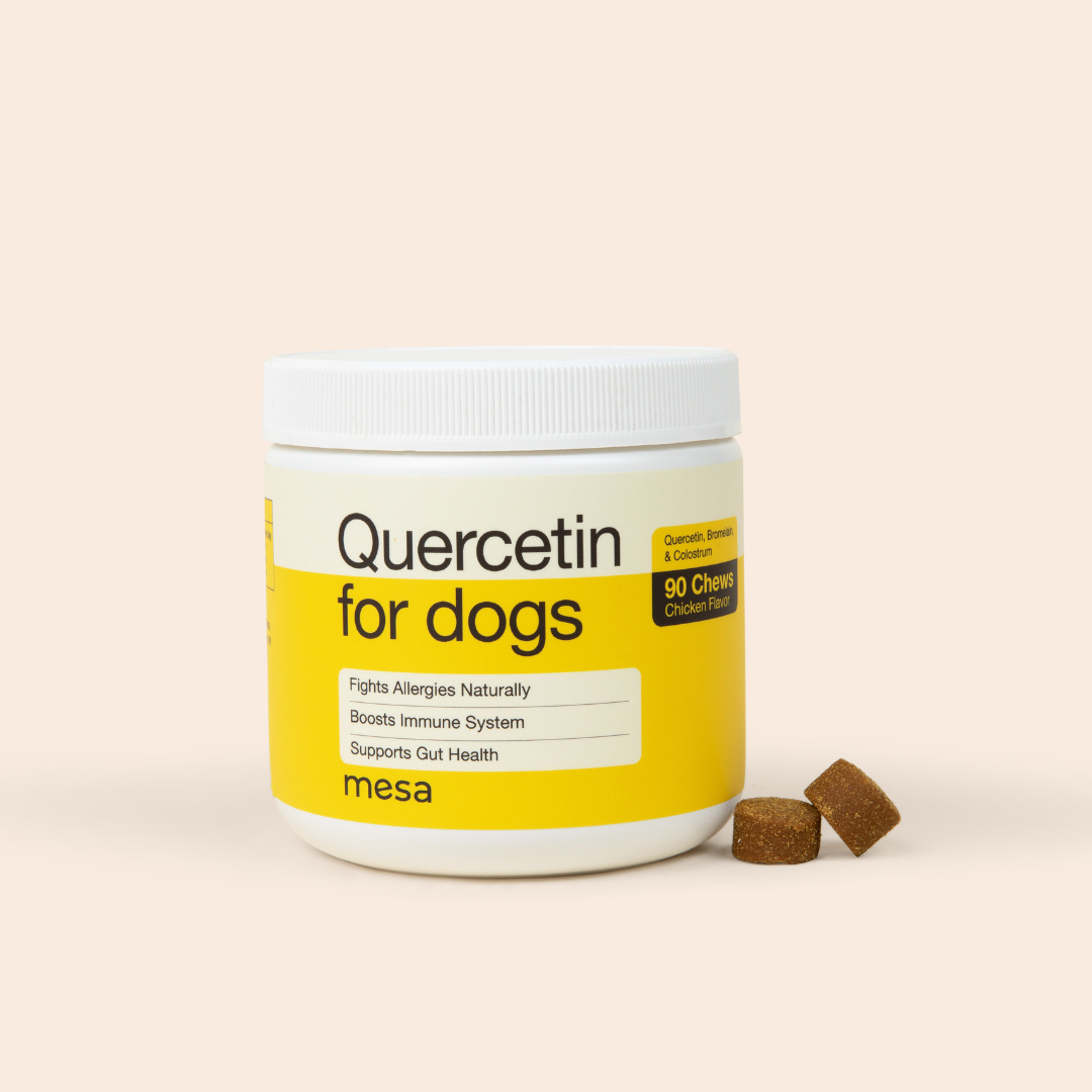 quercetin dog chews next to jar