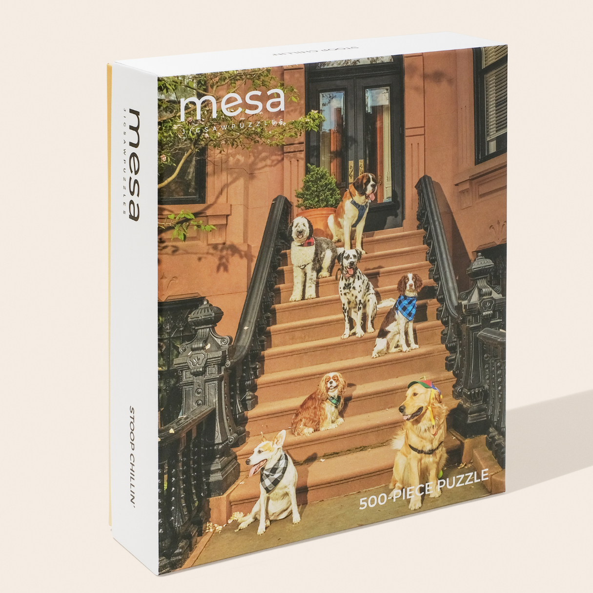 jigsaw puzzle of dogs on a stoop in brooklyn