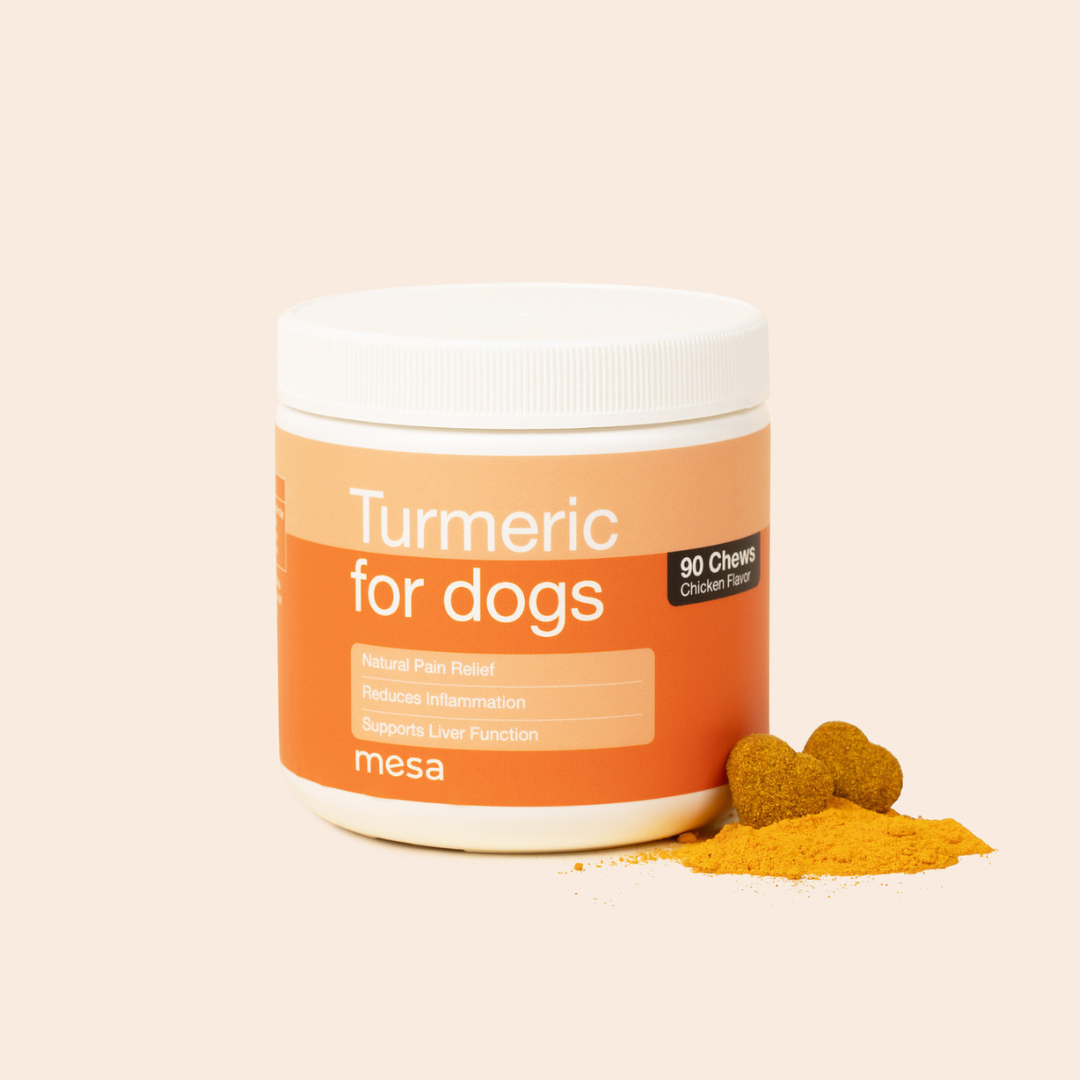 turmeric dog chews with turmeric powder 