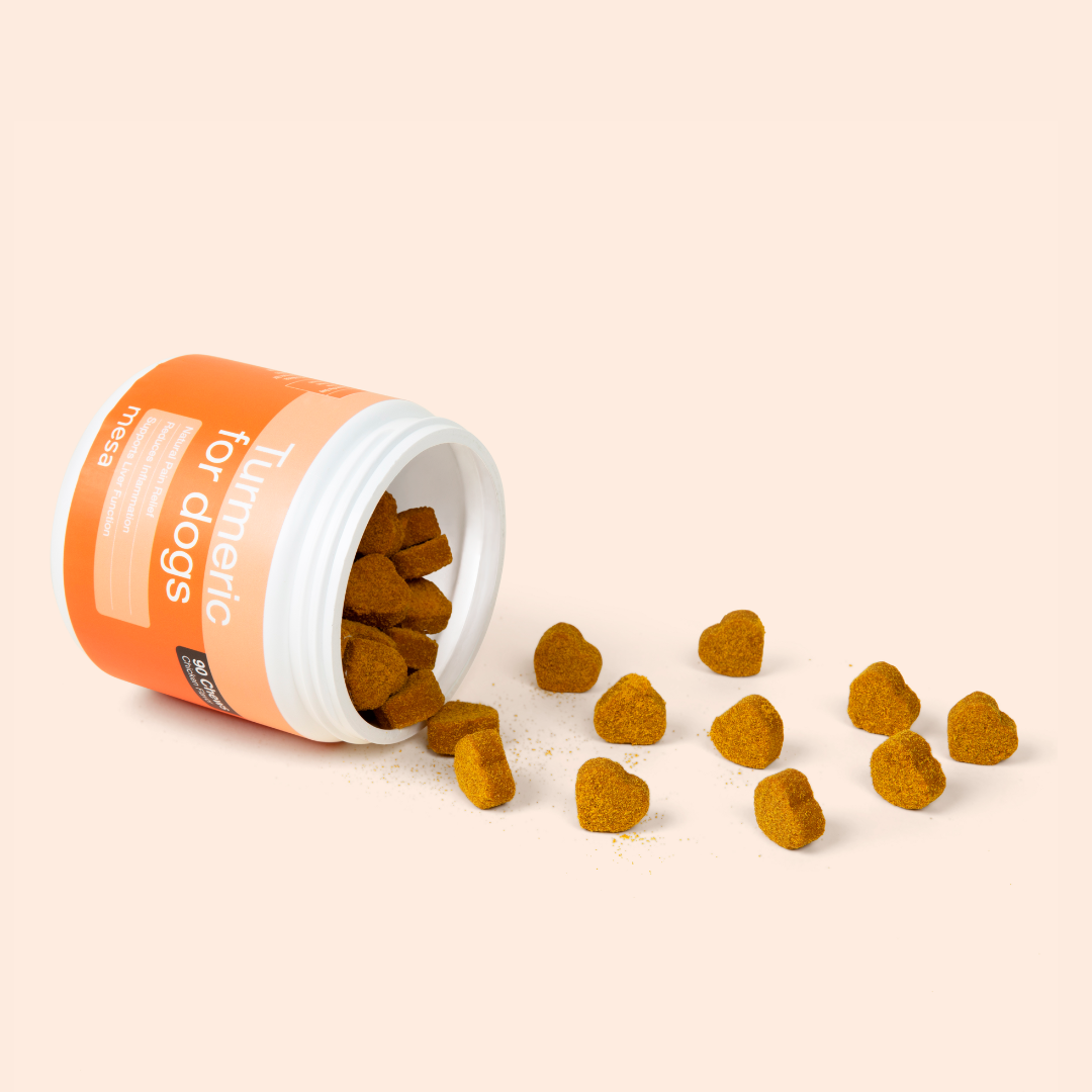 turmeric dog chews spilling out of jar