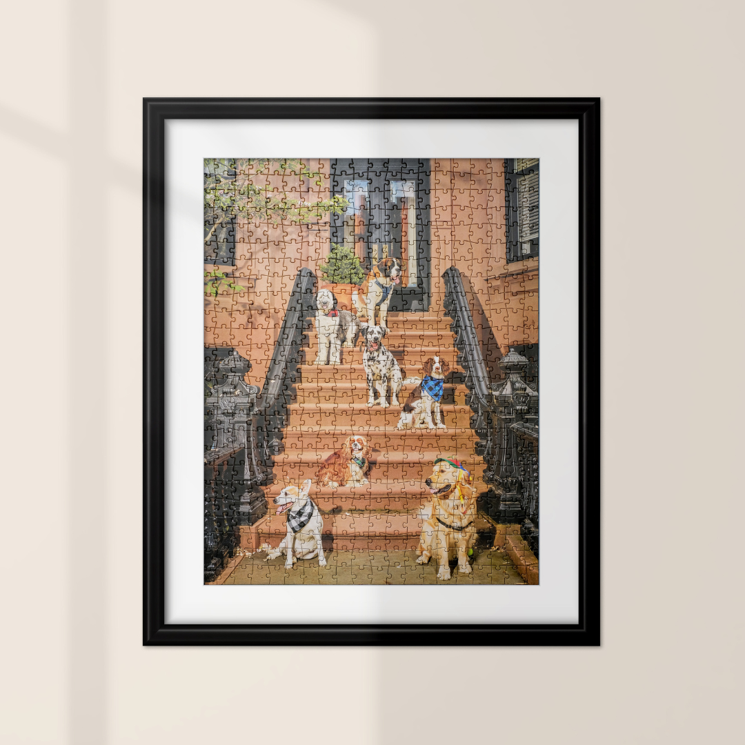 dogs on a stoop puzzle framed